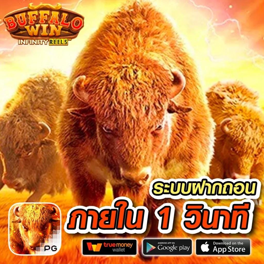 beo777 ศูนย์รวมคาสิโนสดสุดมันส์ ระบบใหม่ ล่าสุดในไทย
