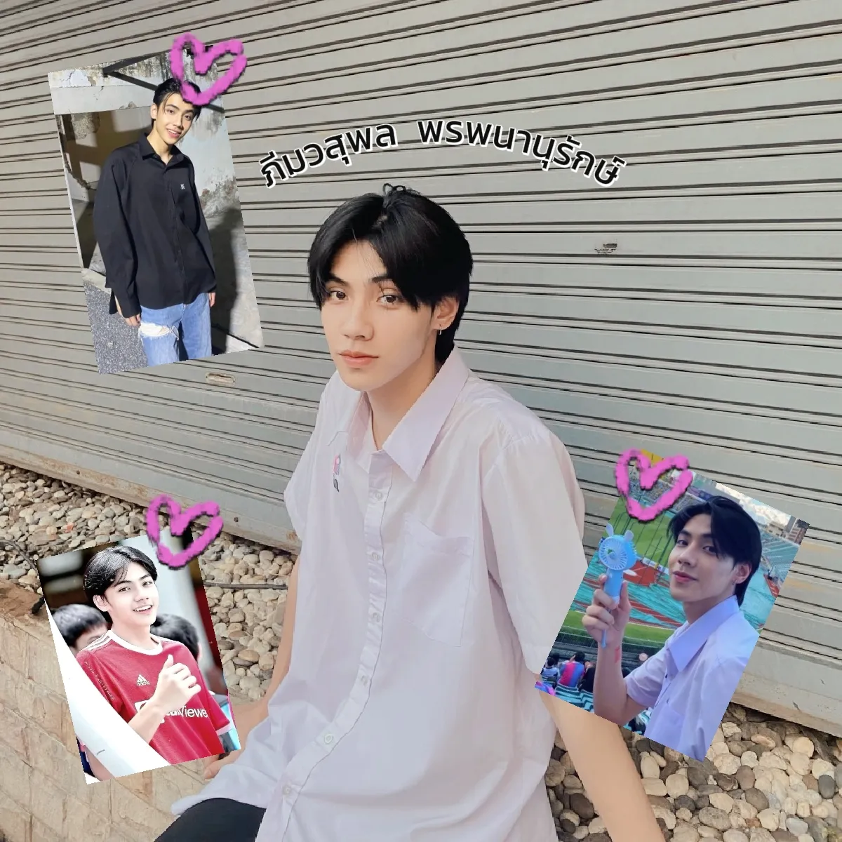 กรมป่าไม้ คาสิโนสุดฮิต มิติใหม่ของการเดิมพันออนไลน์